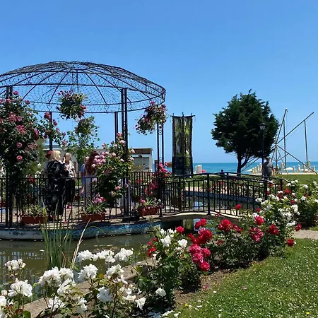 зора-обзор * Obzor