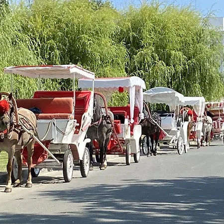 公寓 зора-обзор 奥布佐尔