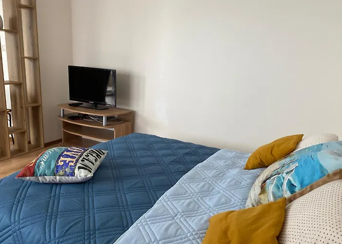 зора-обзор *