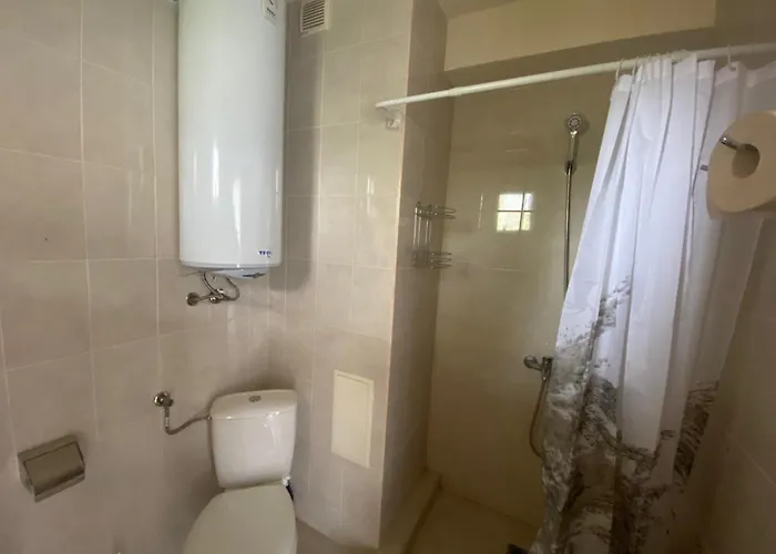 зора-обзор * Obzor