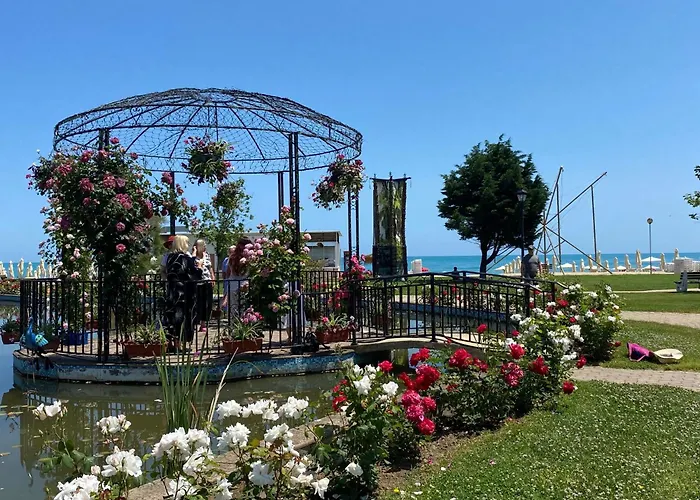 зора-обзор * Obzor