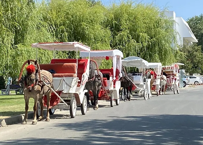 Apartment зора-обзор Obzor